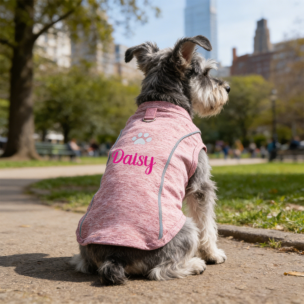 Personalised Summer Breathable Reflective Pet Shirt | inCloth88