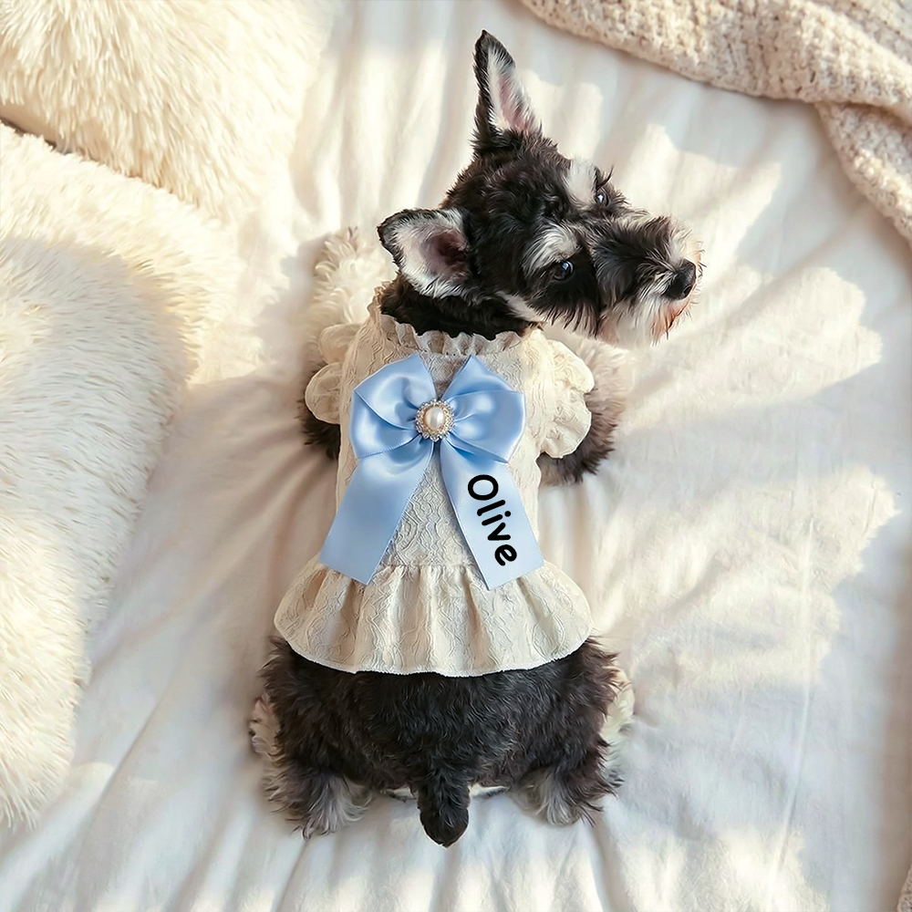 Personalized Name Pet Bowknot Lace Pet Dress | inCloth92