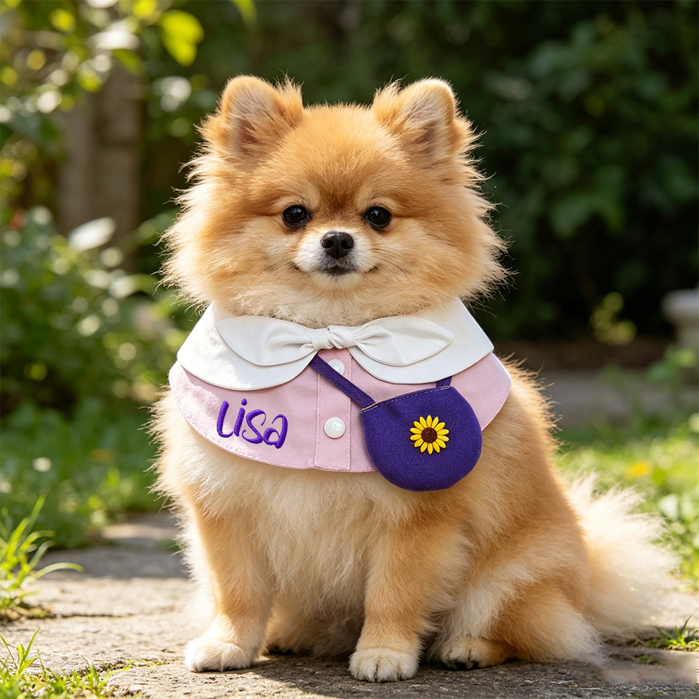 Personalized Embroidered Name Pet Collar | inAccs48