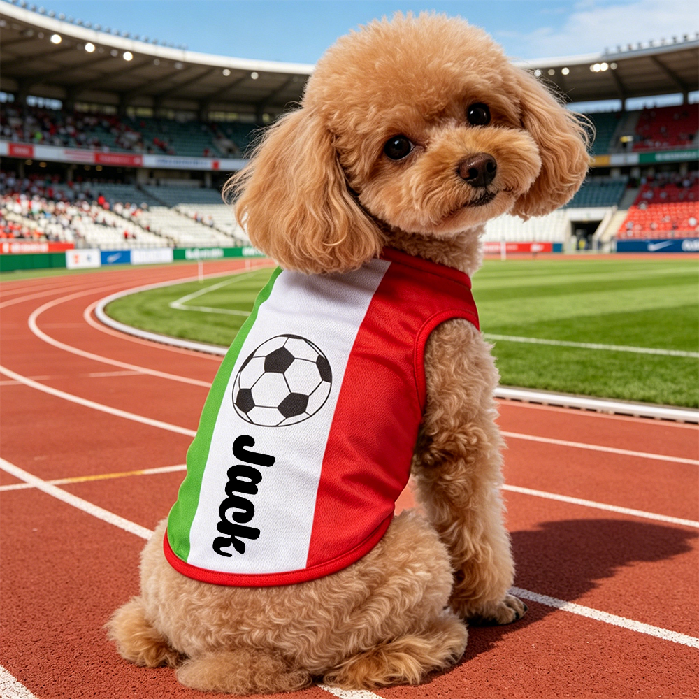 Personalized Pet Match Day Soccer Jersey | inCloth102