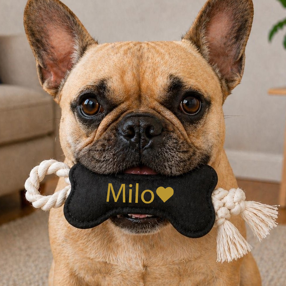 Personalized Pet Bone-Shaped Plush Toy | inToy10