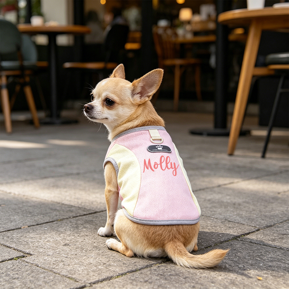 Personalized Summer Cooling And Breathable Pet Clothing | inCloth110