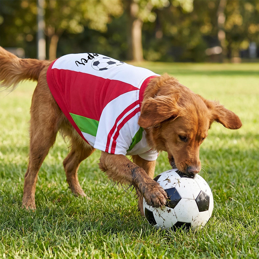 Personalized Pet Match Day Soccer Jersey | inCloth103