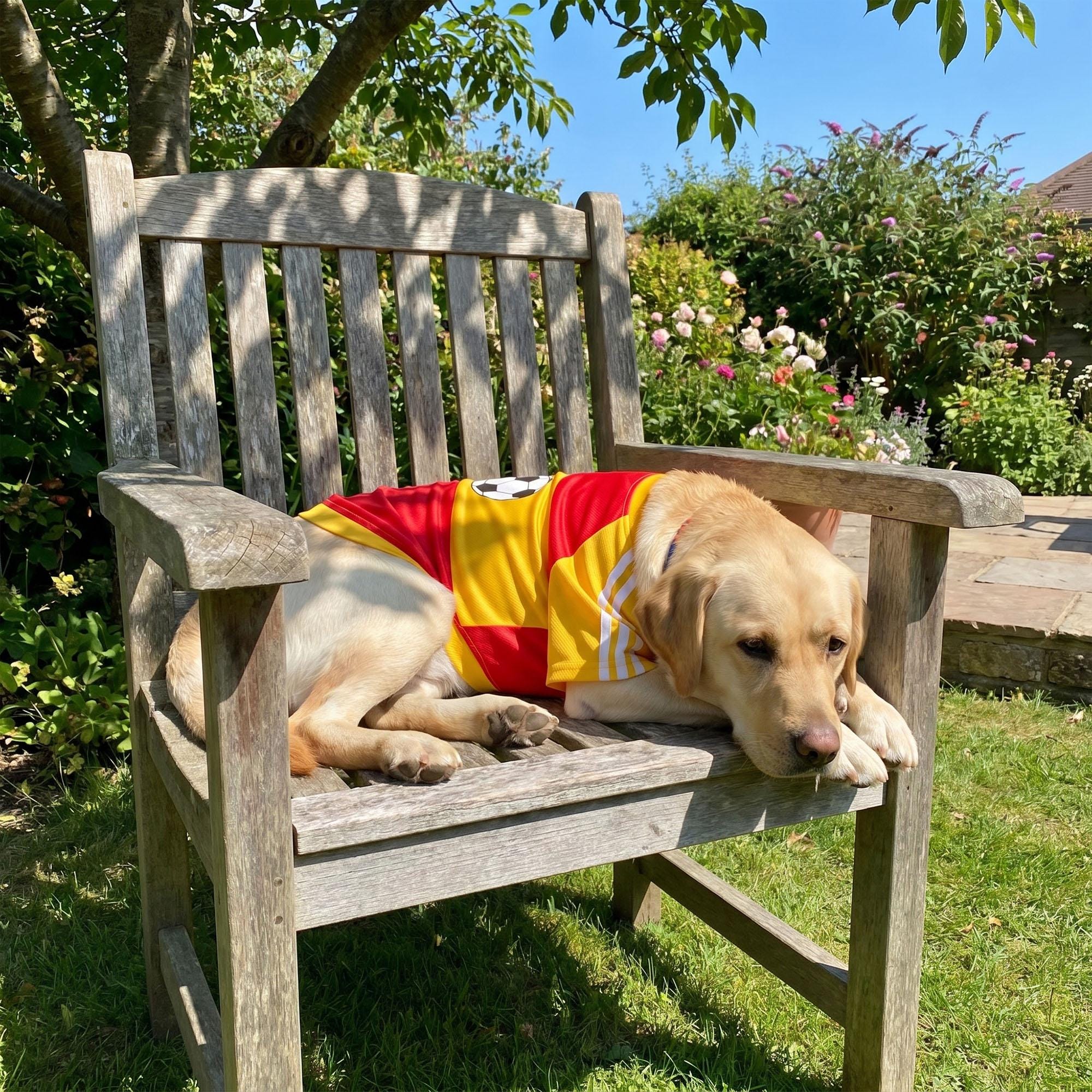 Personalized Pet Match Day Soccer Jersey | inCloth103