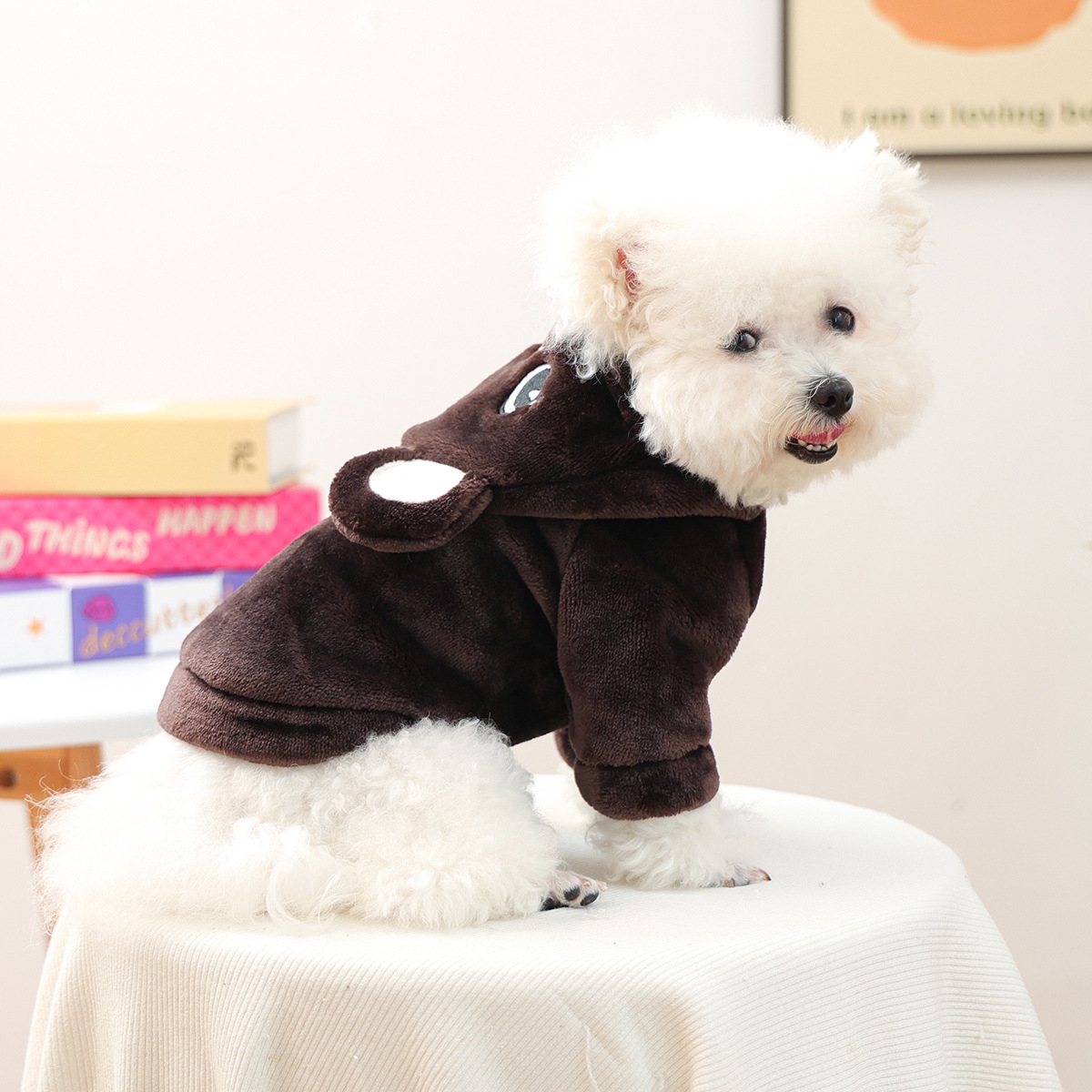 Personalized Leather Patch Name Pet Winter Hoodie | KKPet329