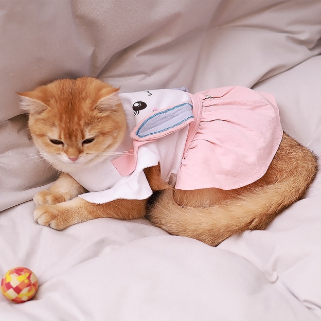 Personalized Name Easter Pet Bunny Princess Outfit | inCloth33