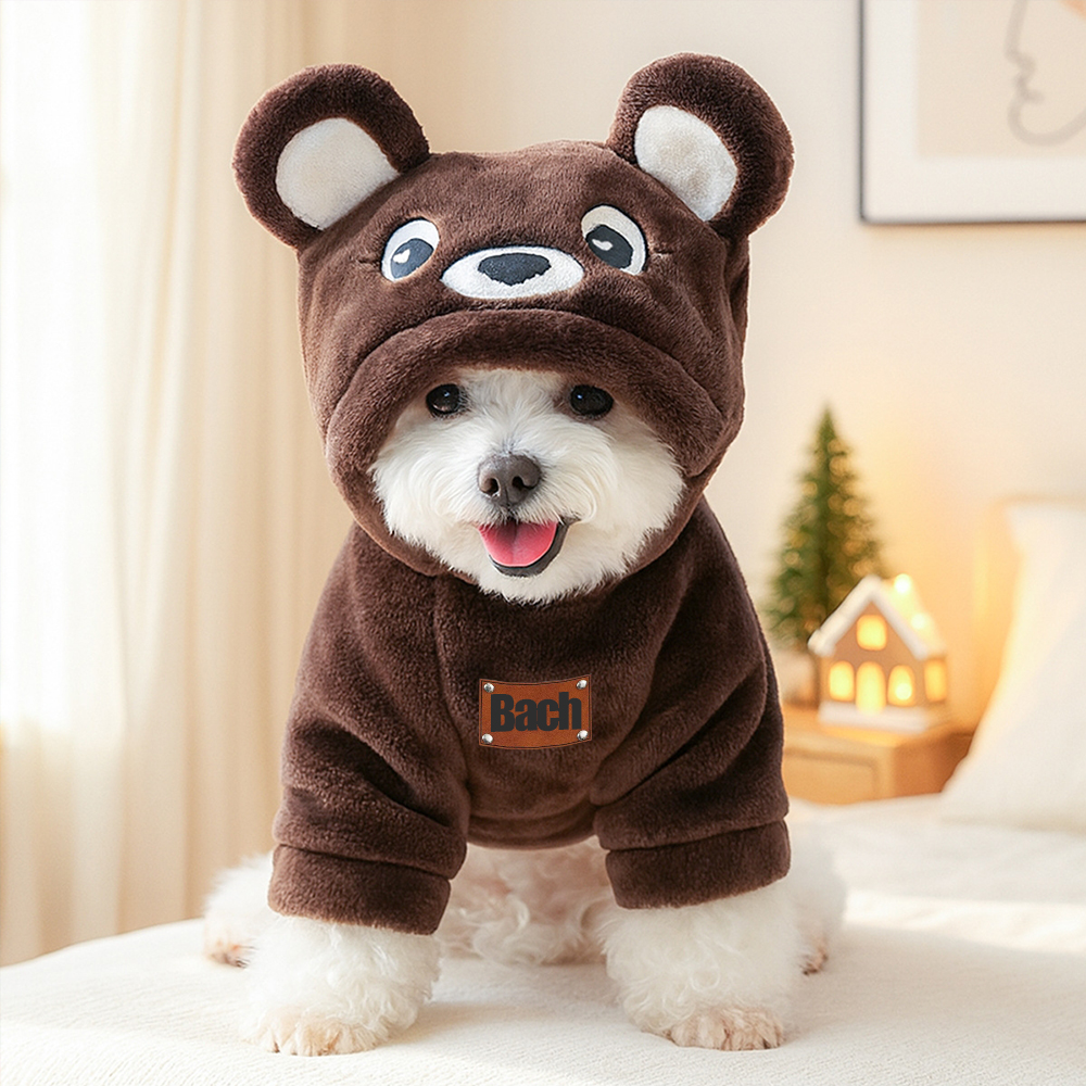 Personalized Leather Patch Name Pet Winter Hoodie | KKPet329