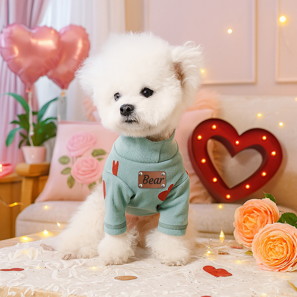 Personalized Leather Patch Name Valentine’s Day Pet Sweater | KKPet383