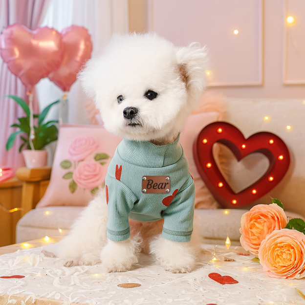 Personalized Leather Patch Name Valentine’s Day Pet Sweater | KKPet383