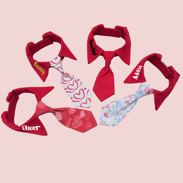 Personalized Pet Valentine's Day Tie Collar | inAccs01