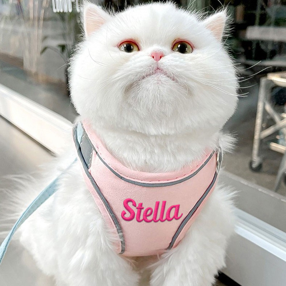 Personalized Embroidered Name Pet Harness with Leash | inAccs09