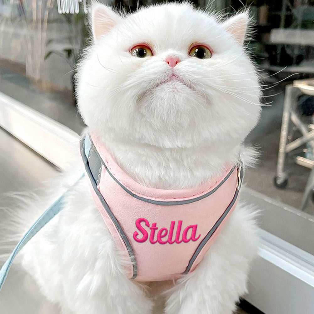 Personalized Embroidered Name Pet Harness with Leash | inAccs09