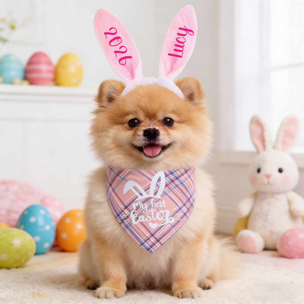 Personalized Easter Pet Bunny Headband and Bandana Set | inAccs11