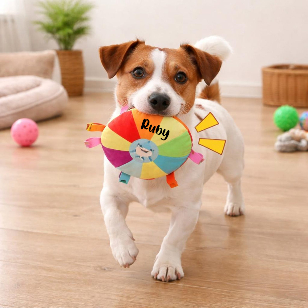 Personalized Pet Colorful Plush Chew Toy | inToy02