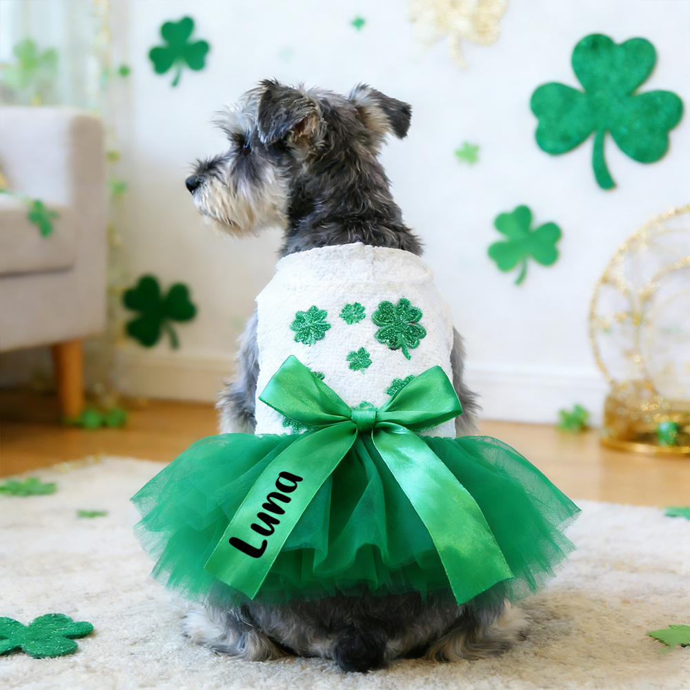 Personalized Pet Lucky St. Patrick's Day Dress | inCloth11
