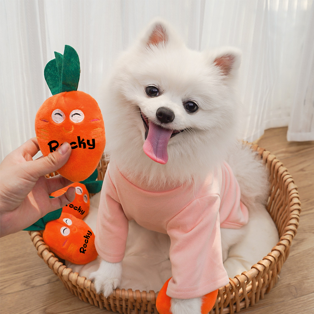 Personalized Pet Squeaky Carrot Plush Toy  | inToy06