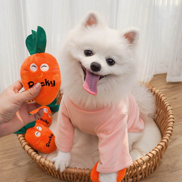 Personalized Pet Squeaky Carrot Plush Toy  | inToy06
