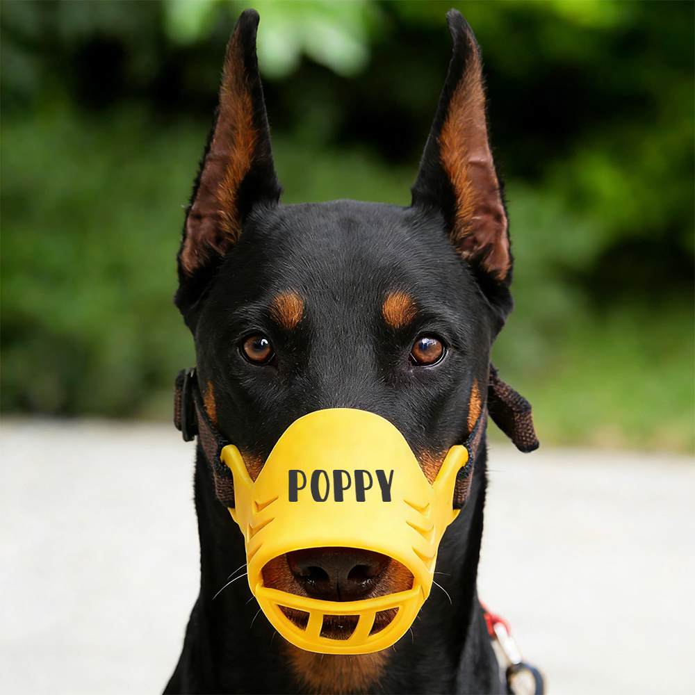 Personalized Silicone Dog Safe Anti-Biting Chewing Barking Muzzle | inAccs22