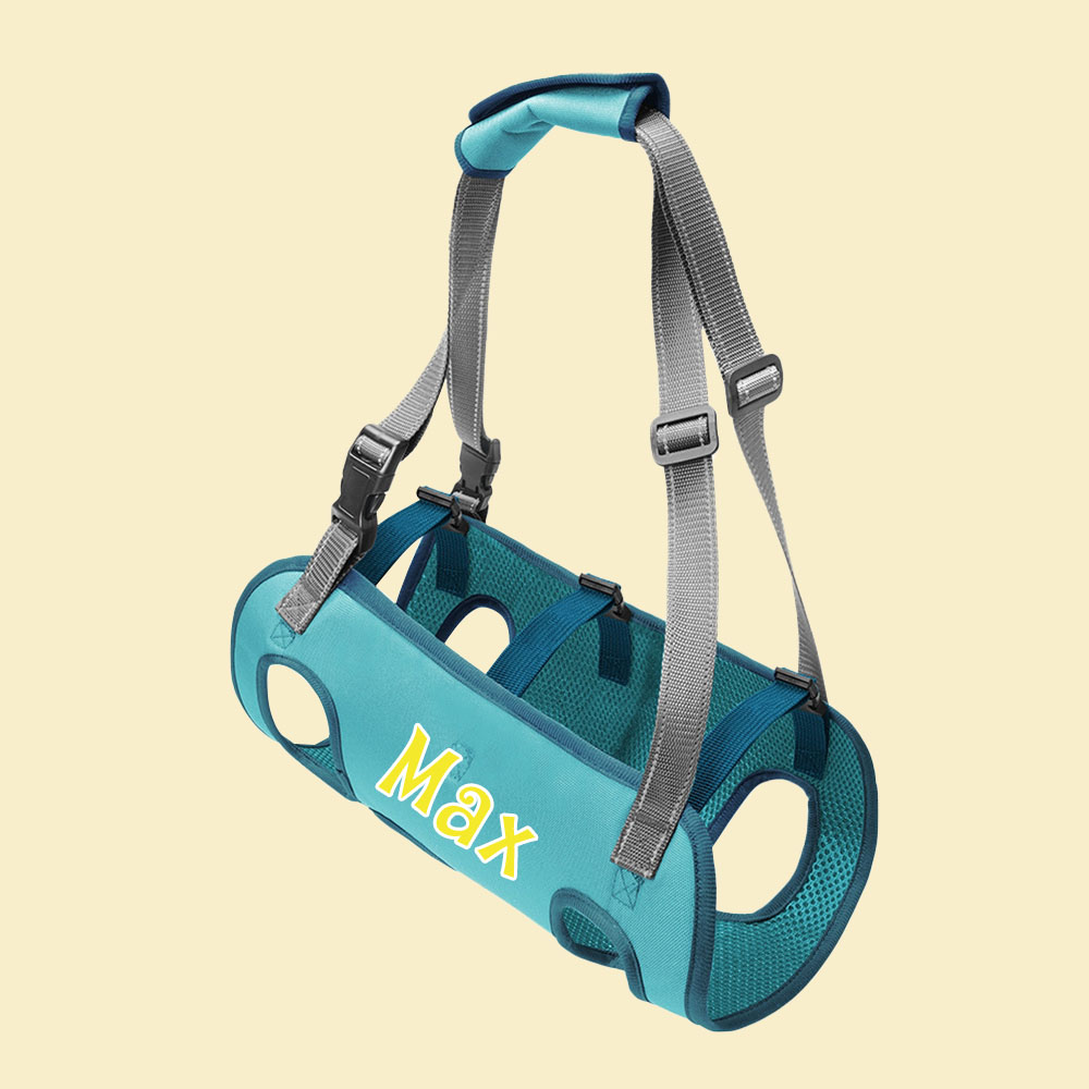 Personalized Name Dog Walking Aid Harness | inAccs24