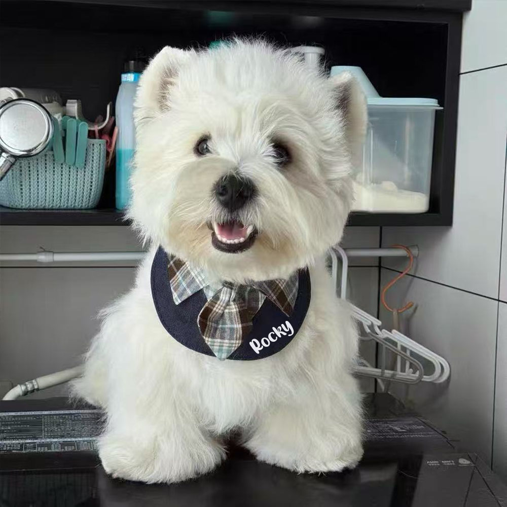 Personalized Plaid Pet Bandana Collar | inAccs26