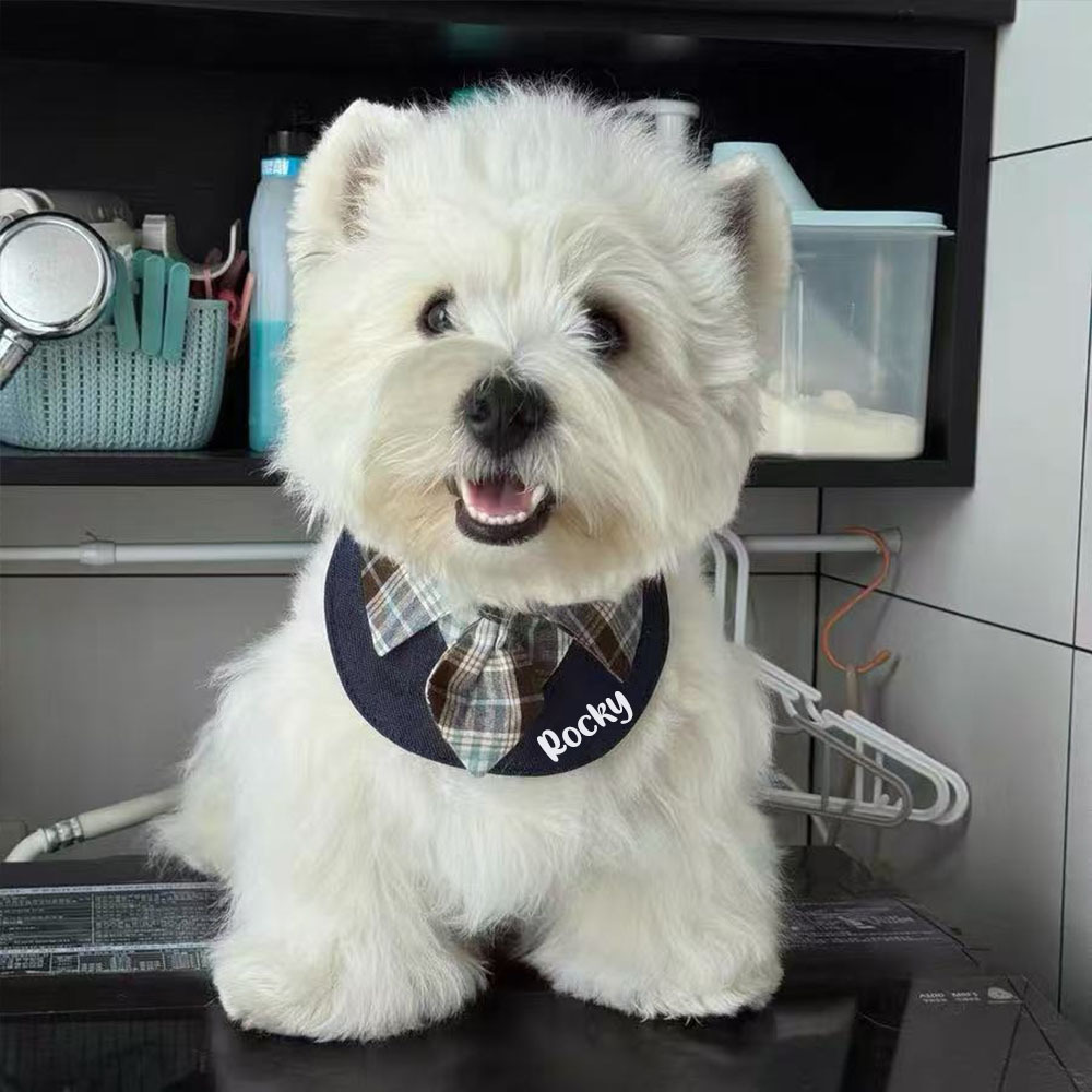 Personalized Plaid Pet Bandana Collar | inAccs26