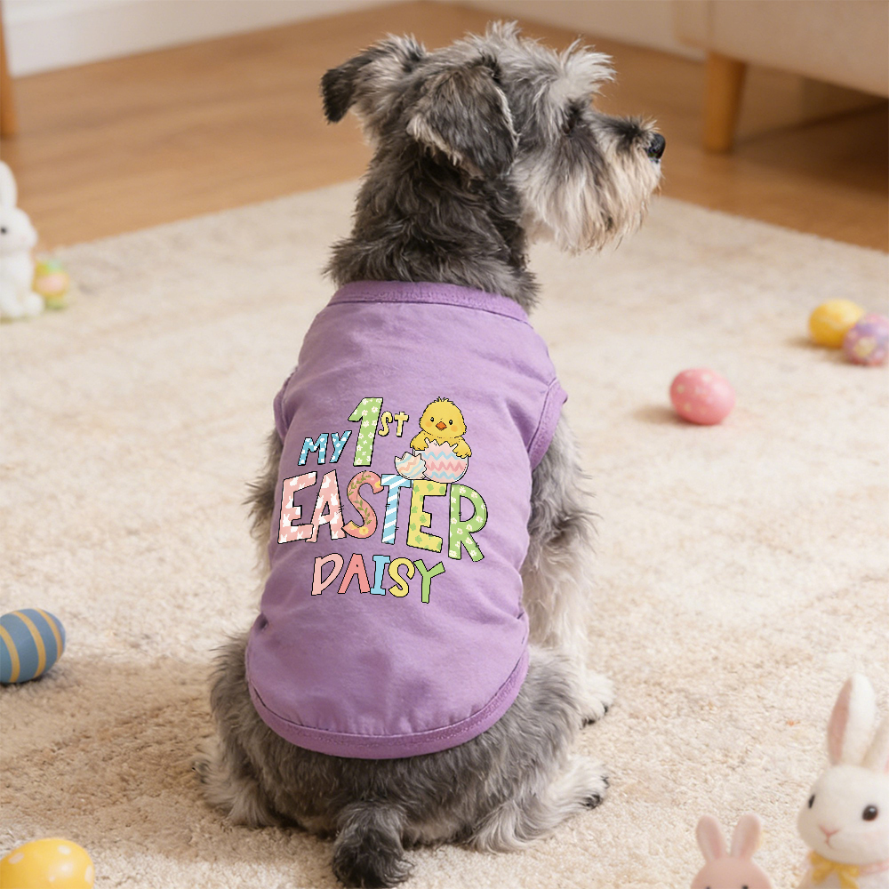 Personalized Pet's First Easter Shirt | inCloth35