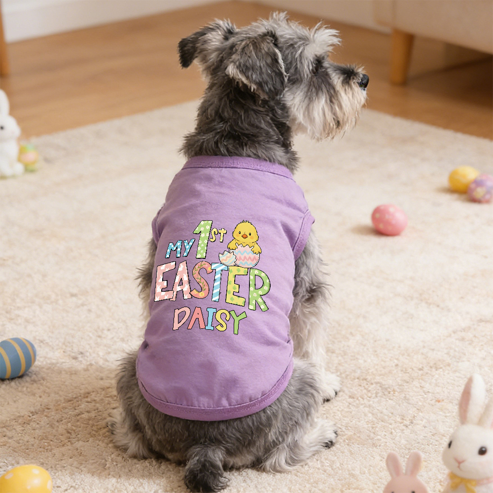 Personalized Pet's First Easter Shirt | inCloth35