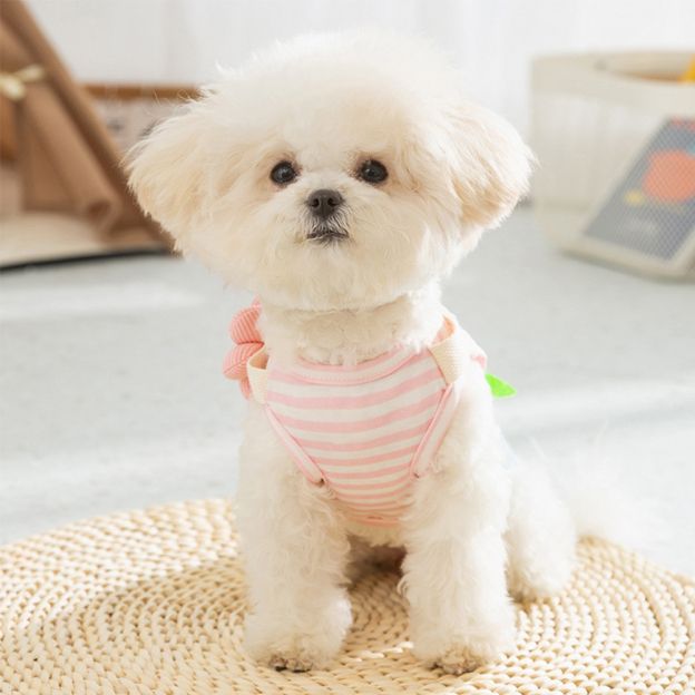 Personalized Name Pet Denim Overalls Dress  | inCloth49