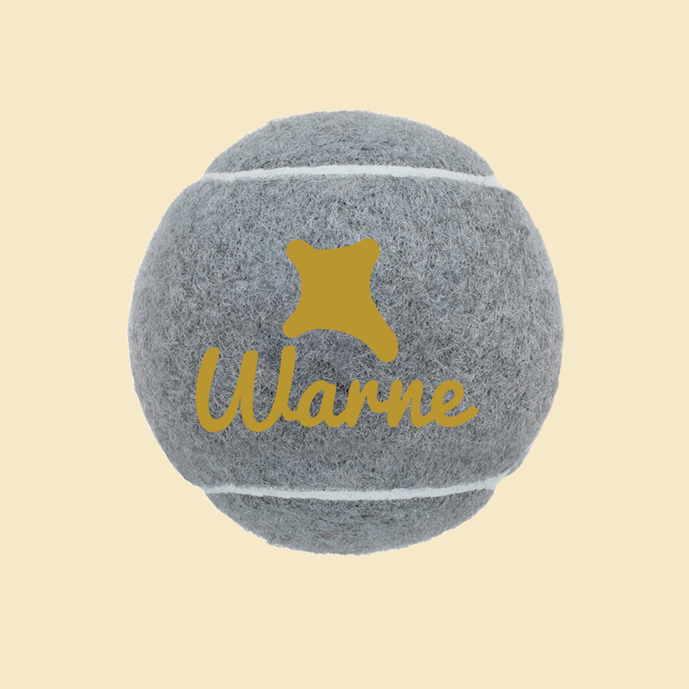Personalized Name Pet Tennis Ball | inToy09