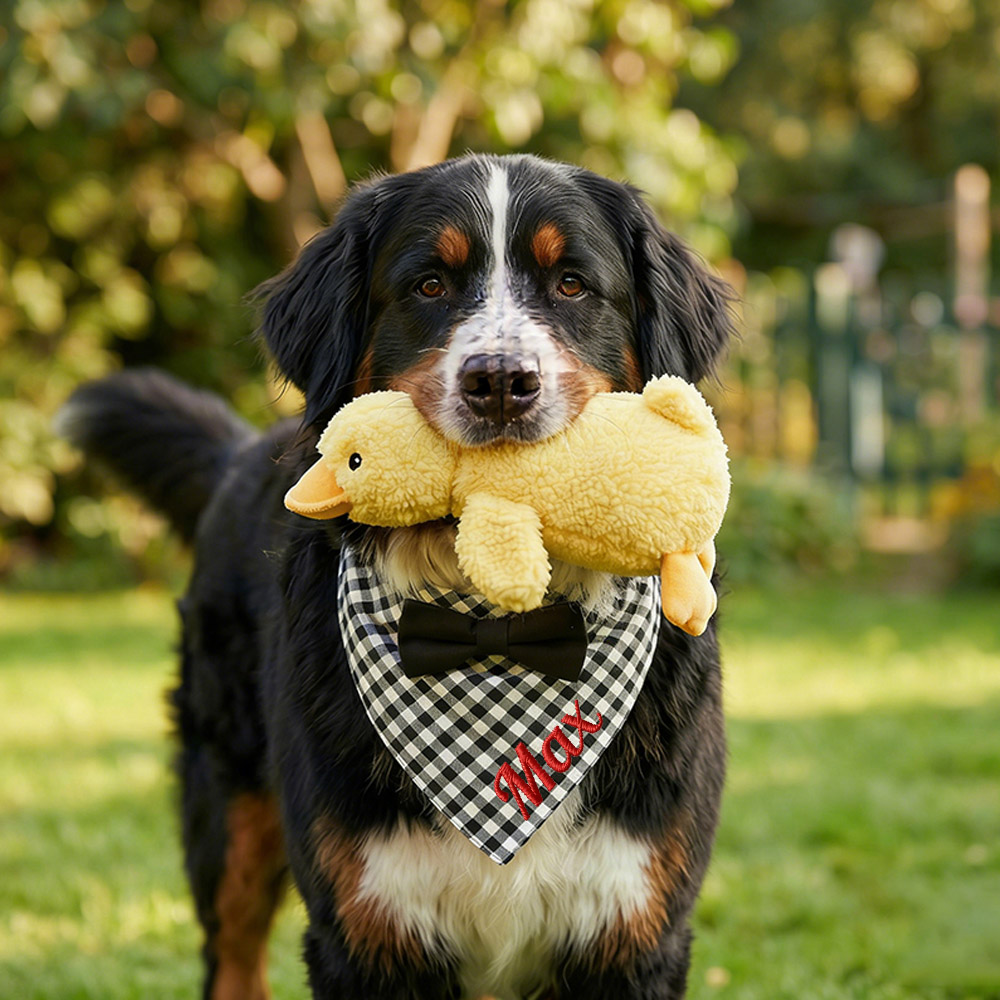 Personalized Embroidered Name Pet Bandana | inAccs41