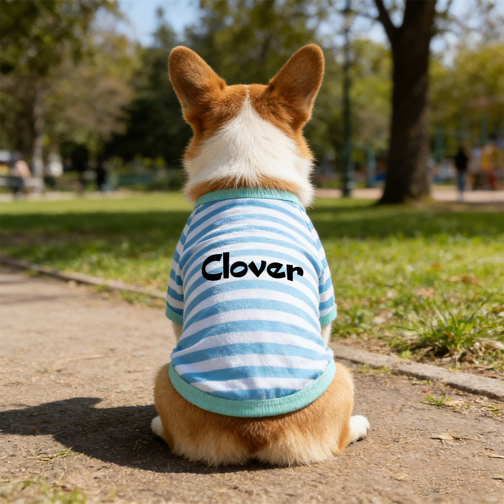 Personalized Name Summer Striped Pet T-Shirt | inCloth76