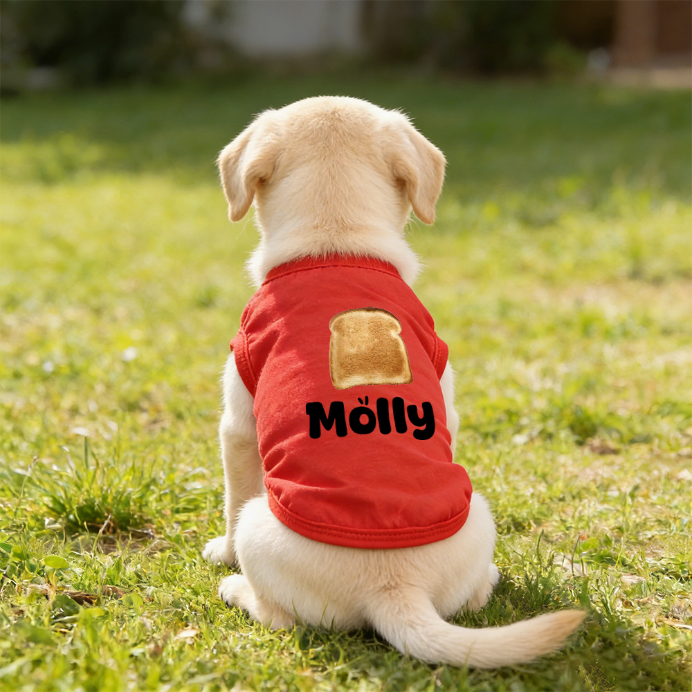 Personalized Name Funny Summer Pet Vest | inCloth89