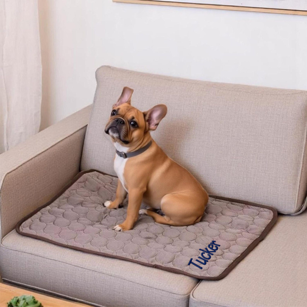 Personalized Embroidered Name Pet Summer Cooling Mat | inaccs45