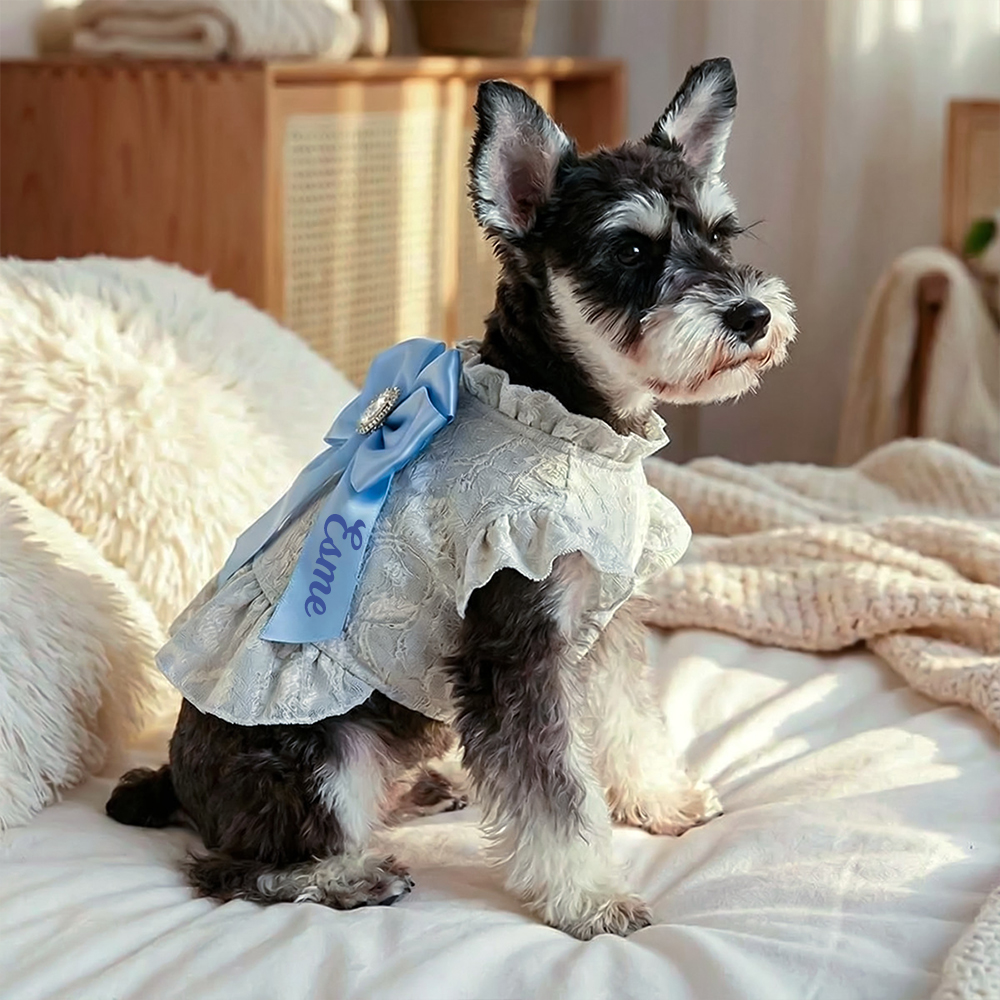 Personalized Name Pet Bowknot Lace Pet Dress | inCloth92