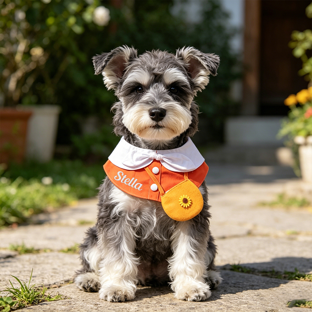 Personalized Embroidered Name Pet Collar | inAccs48