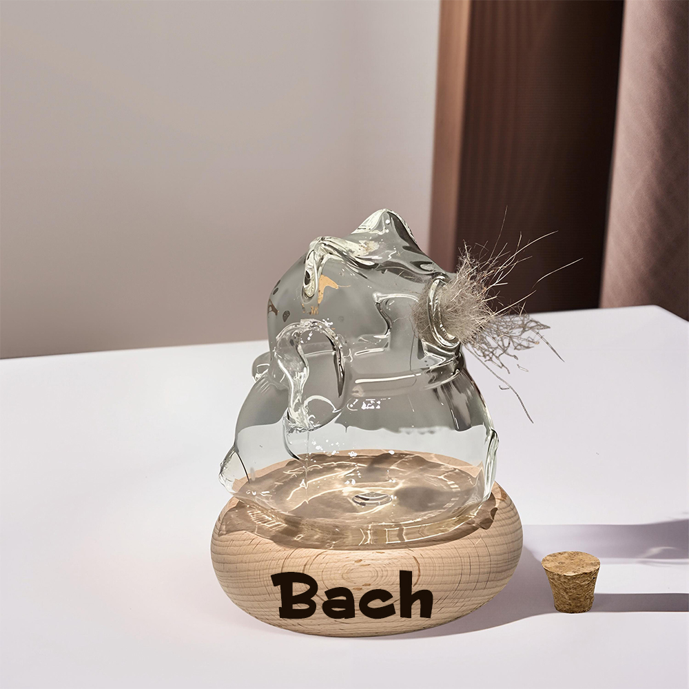 Personalized Pet Hair Memorial Jar | inAccs49