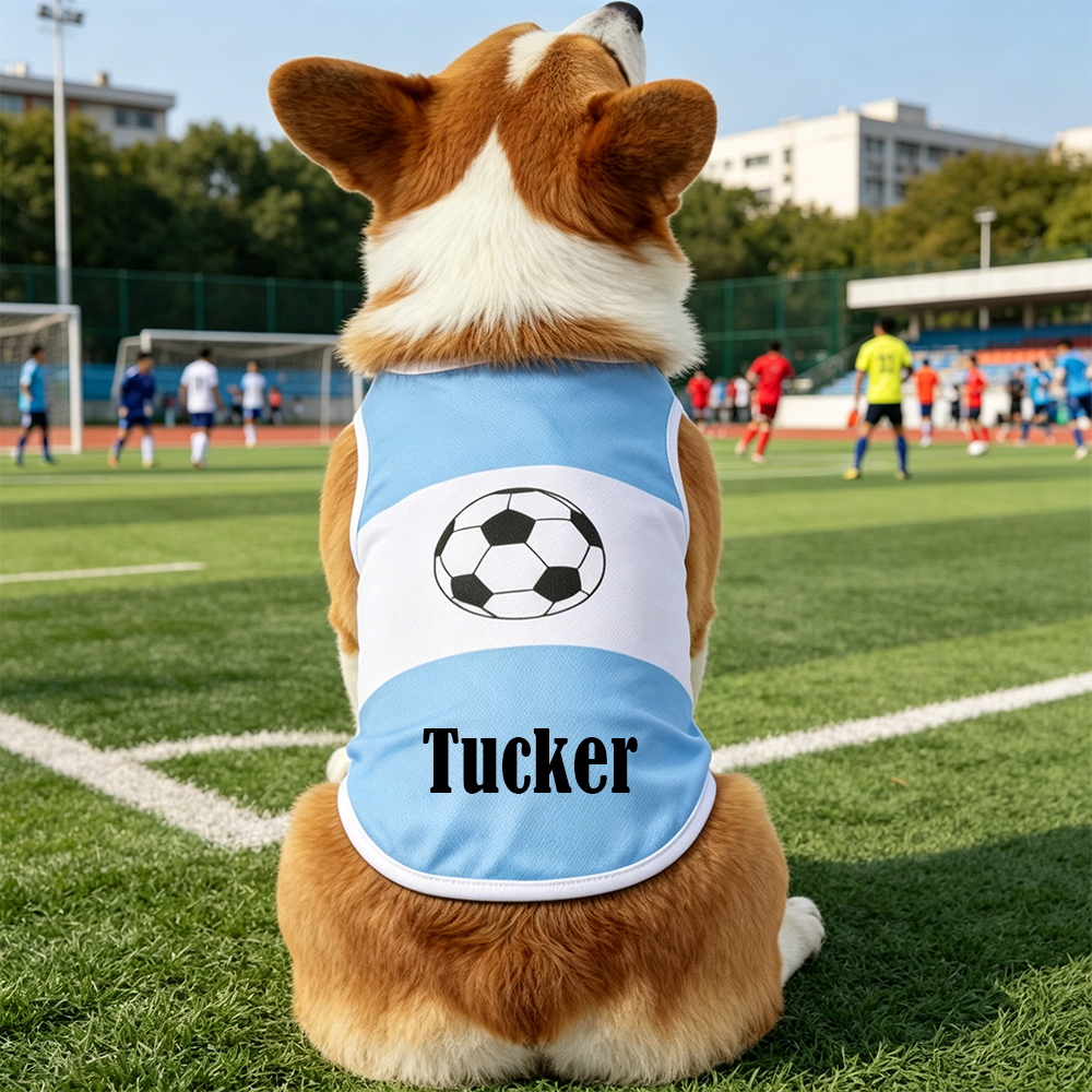 Personalized Pet Match Day Soccer Jersey | inCloth102