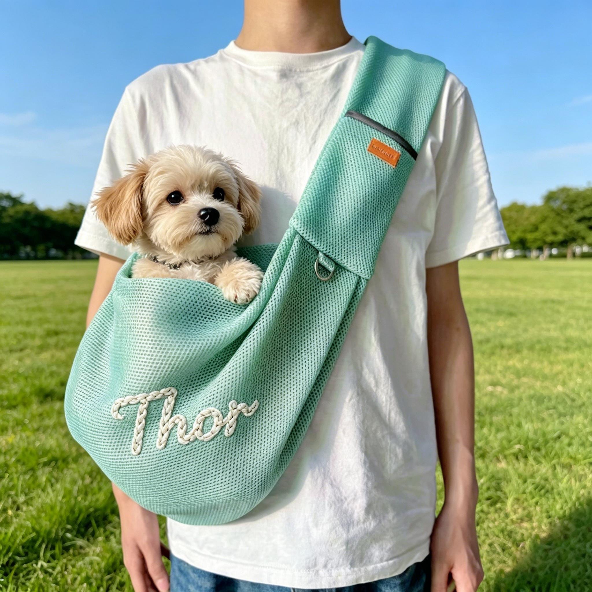 Personalized Hand-Embroidered Breathable Mesh Pet Carrier | inBag92