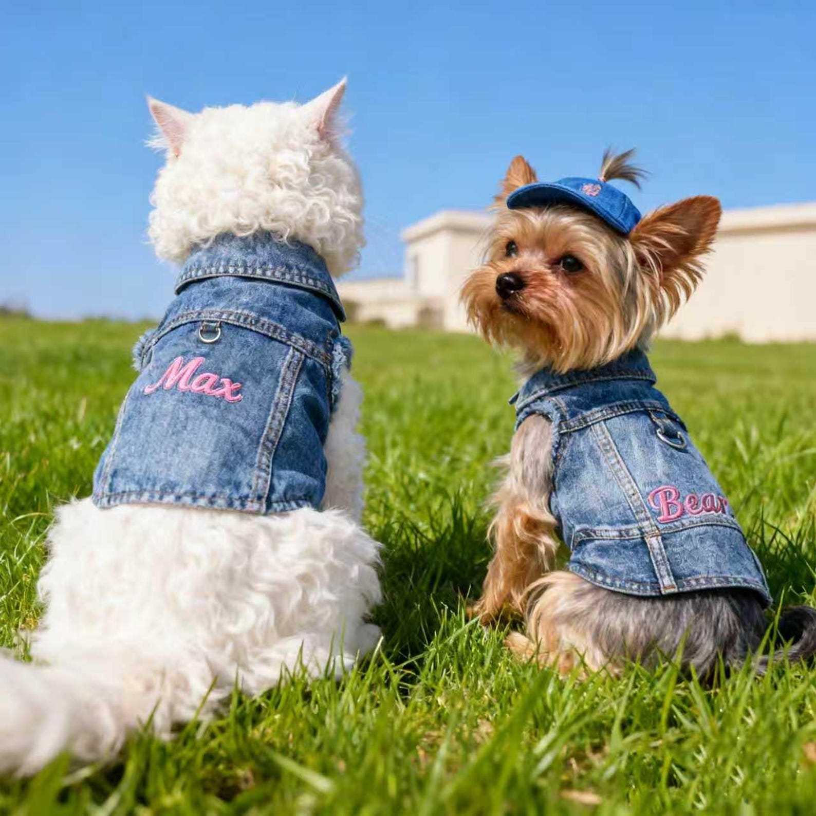 Personalized Embroidered Name Pet Denim Vest | inCloth63