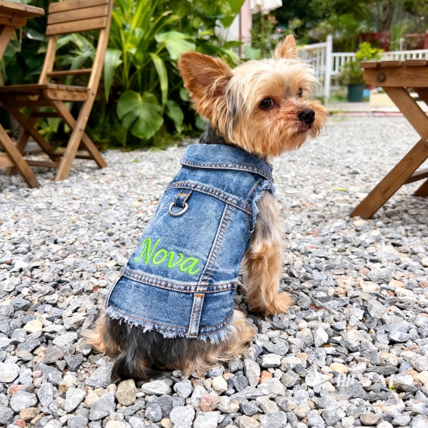 Personalized Embroidered Name Pet Denim Vest | inCloth63