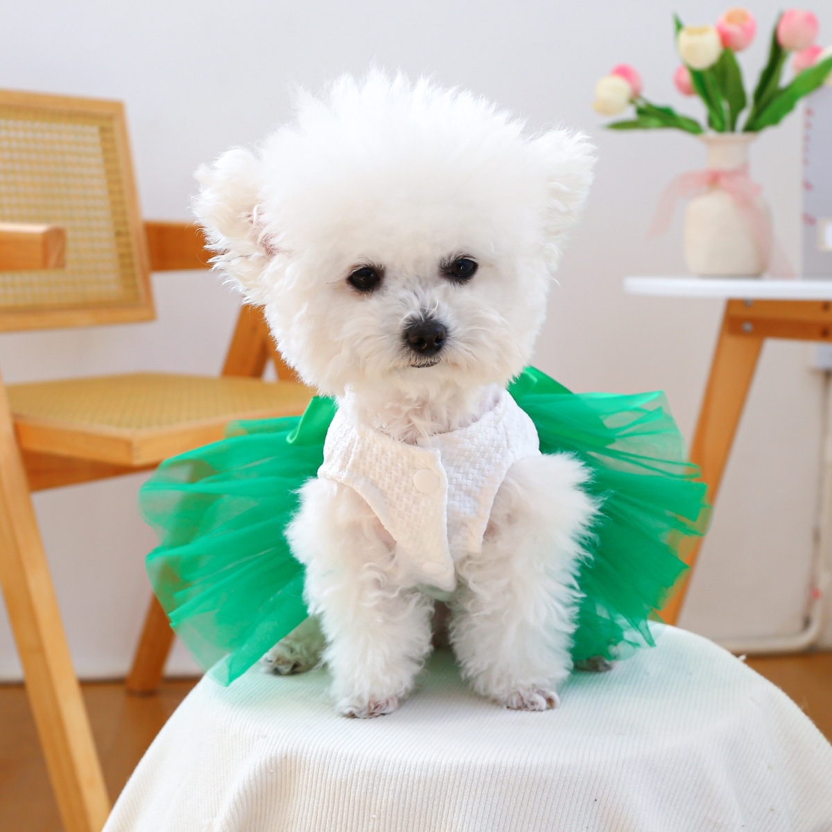 Personalized Pet Lucky St. Patrick's Day Dress | inCloth11