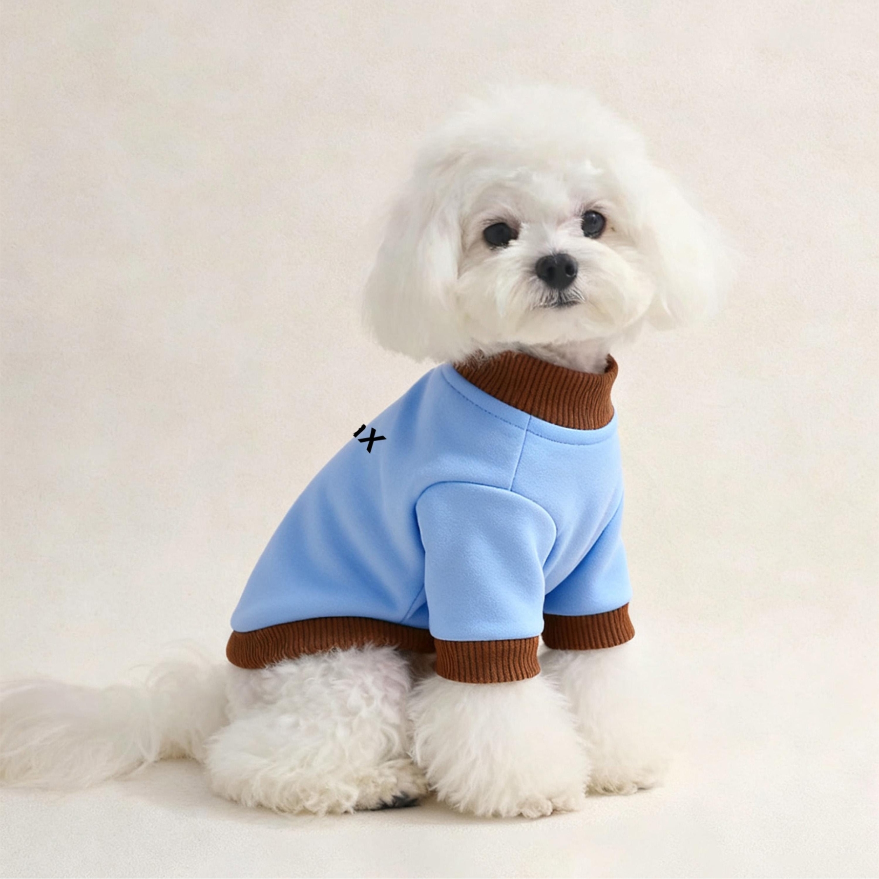 Personalized Name Pet Sweatshirt With Photo | inCloth26