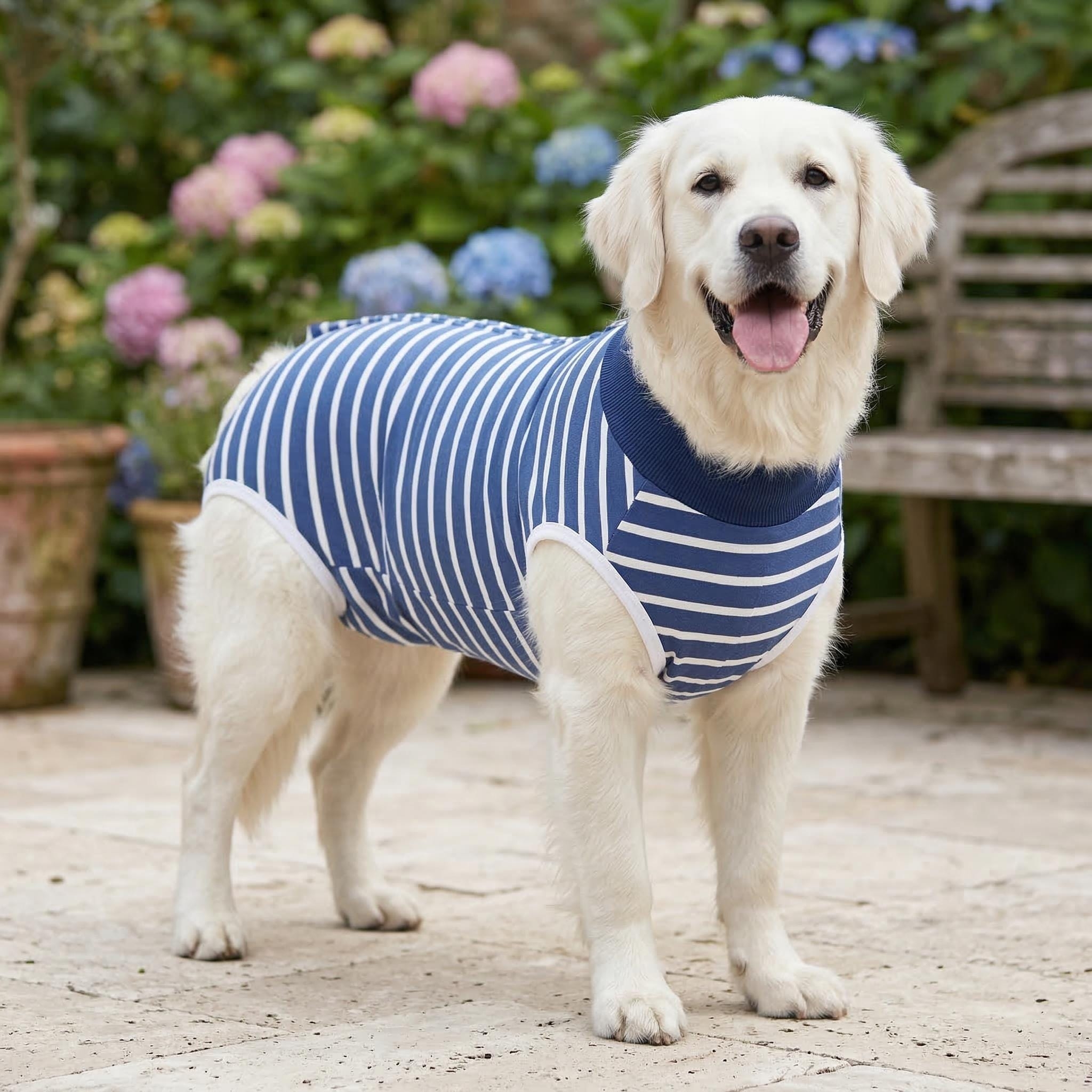 Personalized Name Anti Lick Pet Onesie | inCloth72