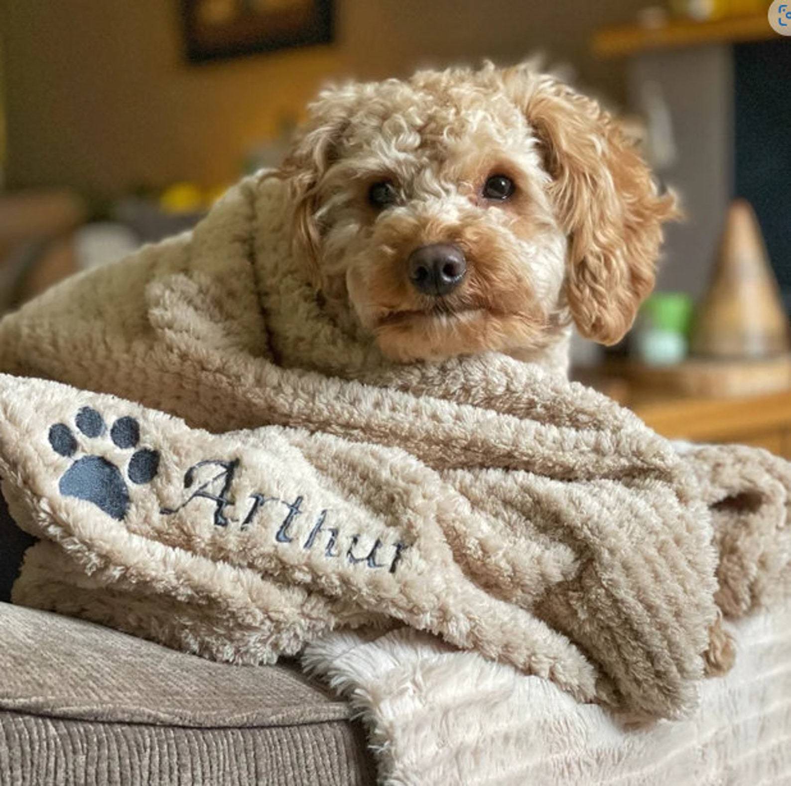 Personalized Warm Pet Blanket for Comfort & Unique | BKPet17
