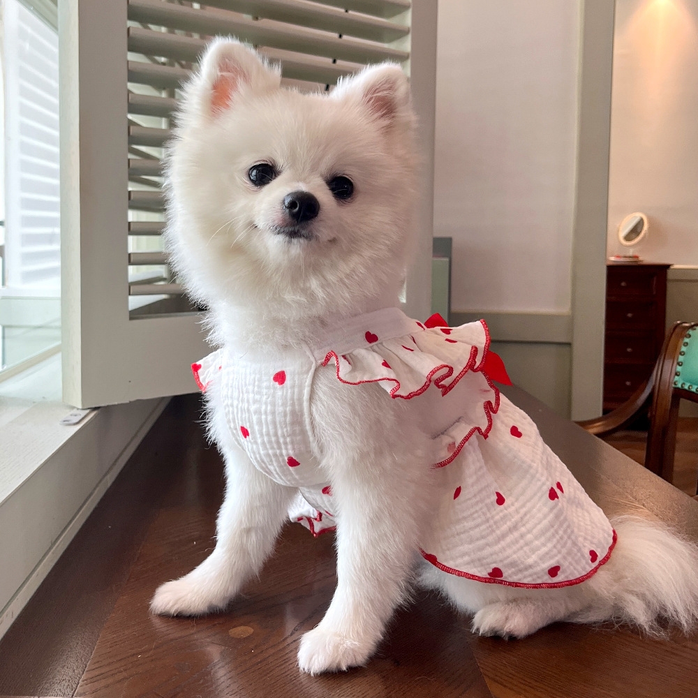 Personalized Pet Floral Bowknot Dress | inCloth36