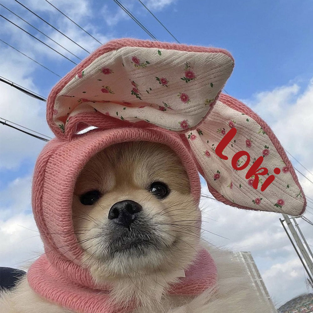 Personalized Easter Pet Knitted Bunny Ear Hat | inAccs14