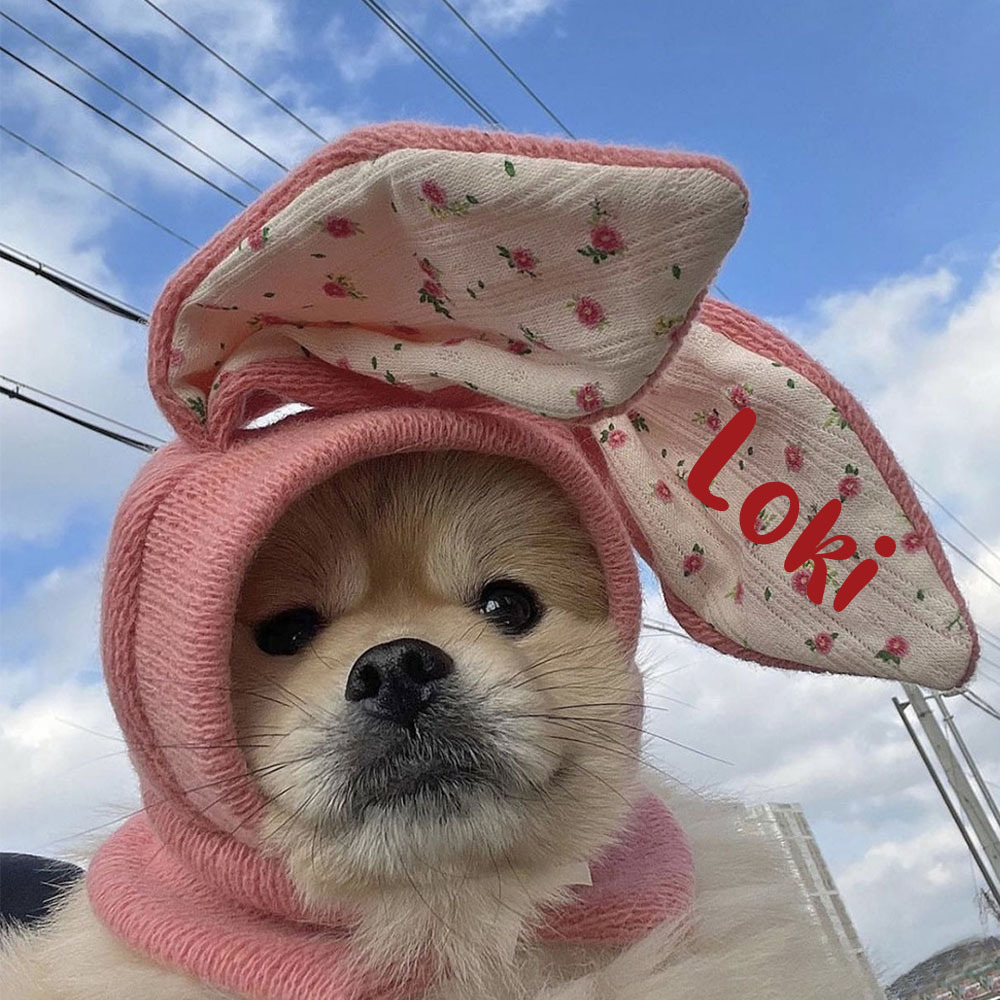 Personalized Easter Pet Knitted Bunny Ear Hat | inAccs14