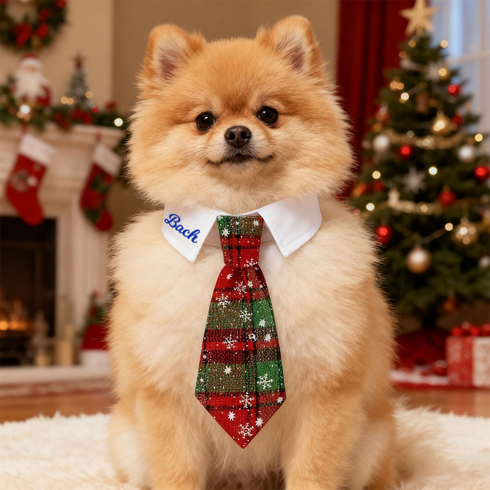Personalized Name Christmas Pet Tie | KKPet327