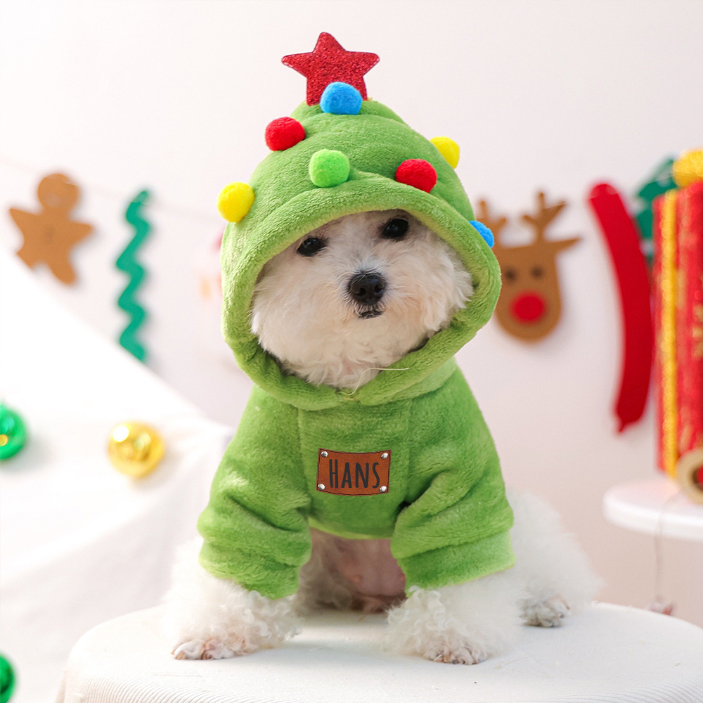 Personalized Leather Patch Name Pet Winter Hoodie | KKPet329