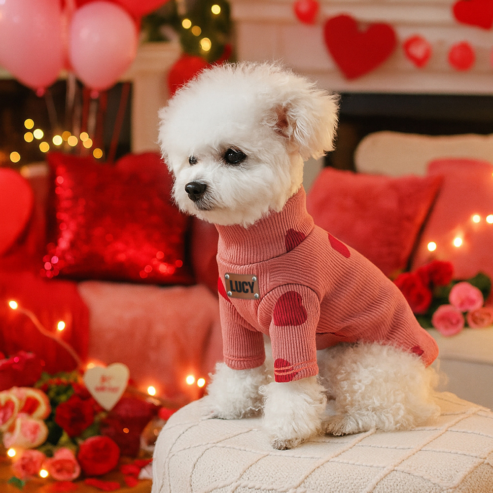 Personalized Leather Patch Name Valentine’s Day Pet Sweater | KKPet383